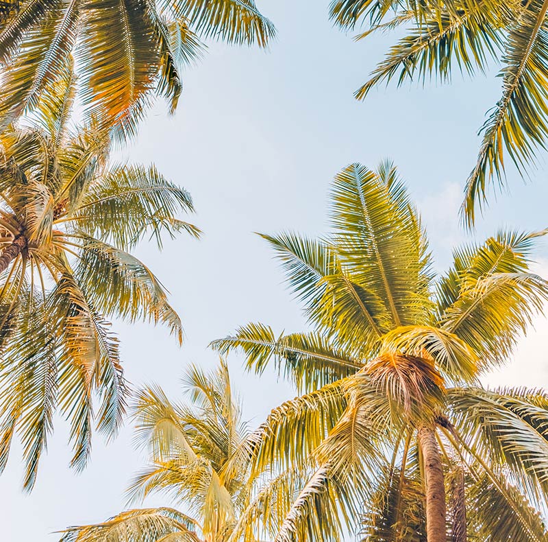 Garage Door Repair Brandon FL